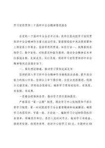 學習宣傳貫徹四中全會情況總結報告1