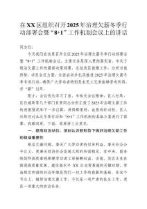 在區組織召開2025年治理欠薪冬季行動部署會暨“8+1”工作機制會議上的講話