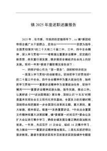 鎮2025年度述職述廉報告