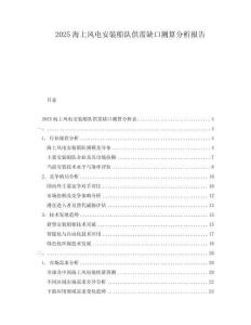2025海上風電安裝船隊供需缺口測算分析報告