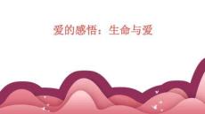 愛的感悟：生命與愛