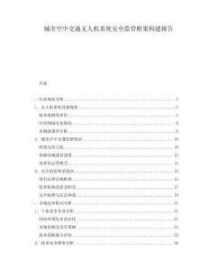 城市空中交通無人機系統安全監管框架構建報告