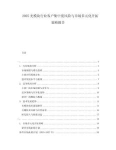 2025光模塊行業(yè)客戶集中度風(fēng)險與市場多元化開拓策略報告