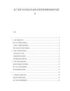 波蘭采礦業(yè)市場(chǎng)競(jìng)爭(zhēng)態(tài)勢(shì)分析投資戰(zhàn)略規(guī)劃研究報(bào)告