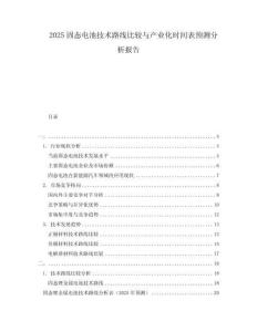 2025固態(tài)電池技術(shù)路線比較與產(chǎn)業(yè)化時間表預(yù)測分析報告