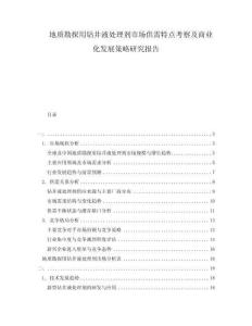 地質(zhì)勘探用鉆井液處理劑市場供需特點考察及商業(yè)化發(fā)展策略研究報告