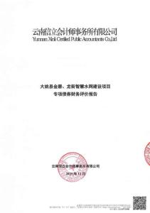 云信立審字〔2025〕第215號-大姚縣金碧、龍街智慧水網(wǎng)建設(shè)項目-副本