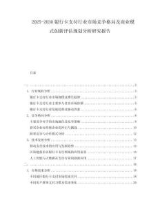 2025-2030银行卡支付行业市场竞争格局及商业模式创新评估规划分析研究报告