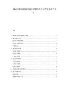 城市更新項(xiàng)目融資路徑規(guī)劃與開發(fā)運(yùn)營效率提升報(bào)告