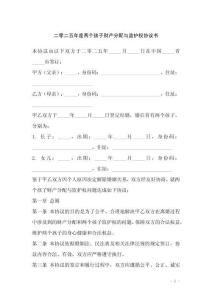 二零二五年度两个孩子财产分配与监护权协议书