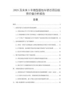 2025及未來5年微型面包車鎖芯項目投資價值分析報告
