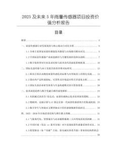 2025及未來(lái)5年雨量傳感器項(xiàng)目投資價(jià)值分析報(bào)告