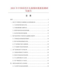 2025年中國(guó)彩色針孔攝像機(jī)數(shù)據(jù)監(jiān)測(cè)研究報(bào)告