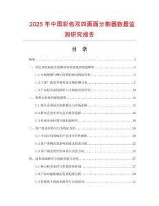 2025年中國彩色雙四畫面分割器數(shù)據(jù)監(jiān)測研究報(bào)告