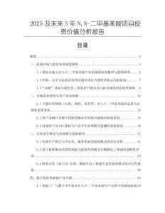 2025及未來5年NN-二甲基苯胺項目投資價值分析報告