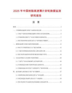2025年中國樹脂高速薄片砂輪數(shù)據(jù)監(jiān)測研究報告