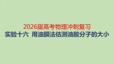 2026屆高考物理沖刺復習 實驗十六：用油膜法估測油酸分子的大小