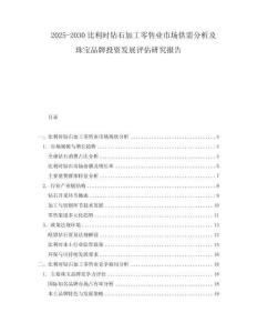 2025-2030比利时钻石加工零售业市场供需分析及珠宝品牌投资发展评估研究报告