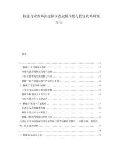 核能行業(yè)市場深度解讀及發(fā)展厚度與投資攻略研究報告