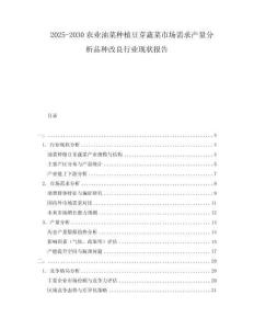 2025-2030农业油菜种植豆芽蔬菜市场需求产量分析品种改良行业现状报告