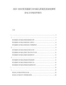 2025-2030歐美能源行業(yè)風能太陽能發(fā)展深度解析及電力市場改革報告