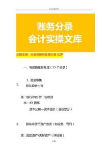 記賬實(shí)操- 水族館賬務(wù)處理分錄SOP