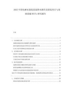 2025中國電解水制氫設(shè)備降本路徑及綠氫項目與基礎(chǔ)設(shè)施REITs研究報告