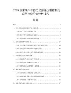 2025及未来5年自力式旁通压差控制阀项目投资价值分析报告