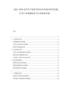 2025-2030安全生產防護用品行業市場分析評估報告及產品檢測技術與行業標準升級