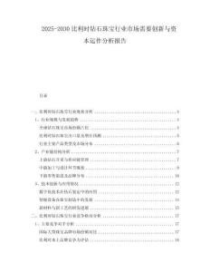 2025-2030比利时钻石珠宝行业市场需要创新与资本运作分析报告