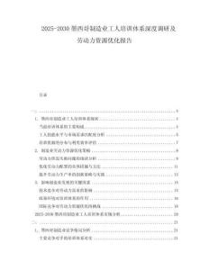 2025-2030墨西哥制造业工人培训体系深度调研及劳动力资源优化报告