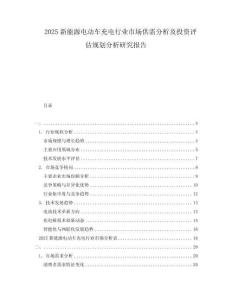 2025新能源電動(dòng)車充電行業(yè)市場(chǎng)供需分析及投資評(píng)估規(guī)劃分析研究報(bào)告