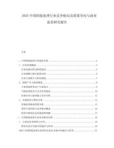 2025中国固废处理行业竞争格局及政策导向与商业前景研究报告