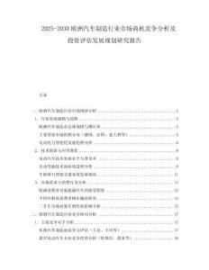 2025-2030歐洲汽車制造行業(yè)市場(chǎng)商機(jī)競(jìng)爭(zhēng)分析及投資評(píng)估發(fā)展規(guī)劃研究報(bào)告