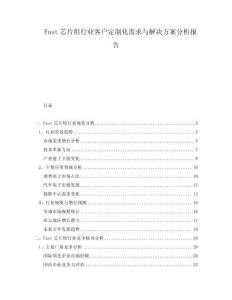 Fast芯片組行業(yè)客戶定制化需求與解決方案分析報(bào)告