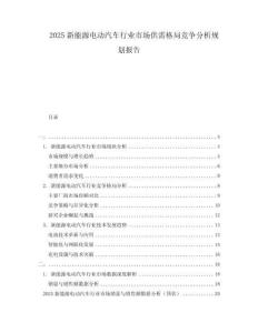2025新能源電動汽車行業(yè)市場供需格局競爭分析規(guī)劃報告