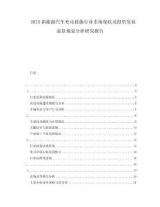 2025新能源汽車充電設(shè)施行業(yè)市場現(xiàn)狀及投資發(fā)展前景規(guī)劃分析研究報告