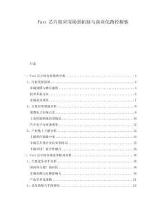 Fast芯片組應用場景拓展與商業化路徑探索