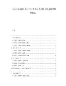 2025-2030DBS亲子项目资本运作风险分析及投资策略报告
