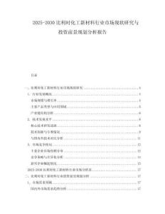 2025-2030比利時化工新材料行業(yè)市場現(xiàn)狀研究與投資前景規(guī)劃分析報告