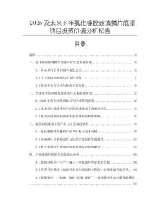 2025及未來5年氯化橡膠玻璃鱗片底漆項目投資價值分析報告
