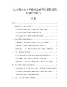 2025及未來5年橫柄撥動開關(guān)項目投資價值分析報告