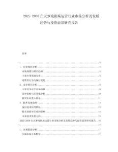 2025-2030白天夢境劇場運營行業市場分析及發展趨勢與投資前景研究報告