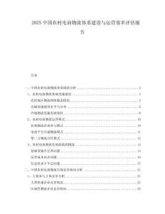 2025中國農(nóng)村電商物流體系建設與運營效率評估報告