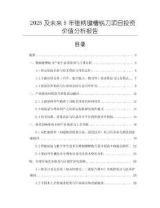 2025及未来5年锥柄键槽铣刀项目投资价值分析报告