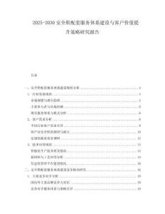 2025-2030安全鞋配套服务体系建设与客户价值提升策略研究报告