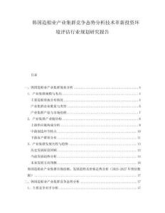 韩国造船业产业集群竞争态势分析技术革新投资环境评估行业规划研究报告
