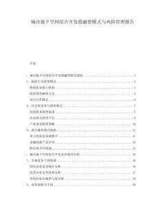 城市地下空間綜合開發(fā)投融資模式與風險管理報告