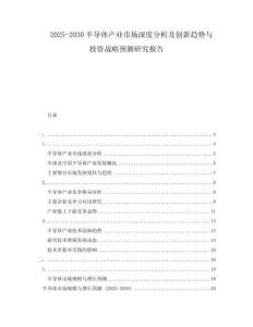 2025-2030半导体产业市场深度分析及创新趋势与投资战略预测研究报告