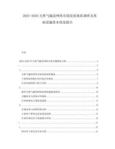 2025-2030天然气输送网络市场发展现状调研及基础设施资本优化报告
